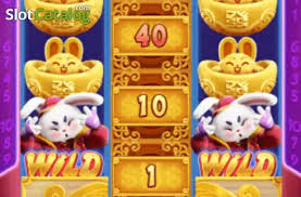 7-rabbit.com cassino